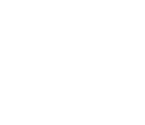 CAR LIFT Icon